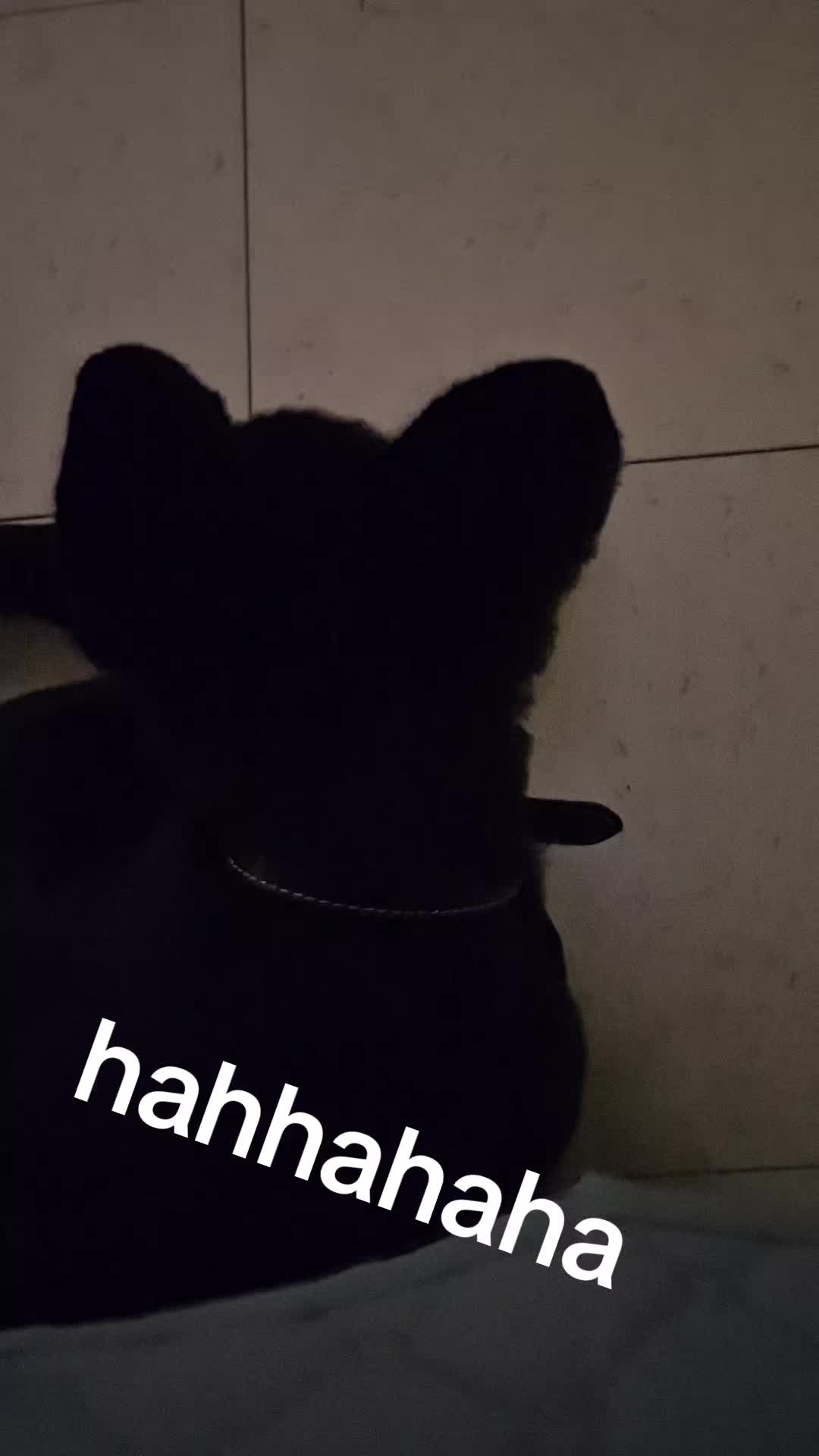 @Manawanickwew