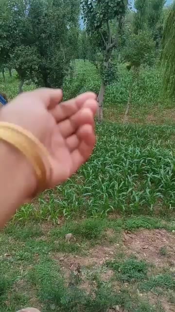 @Kashmir Ajk