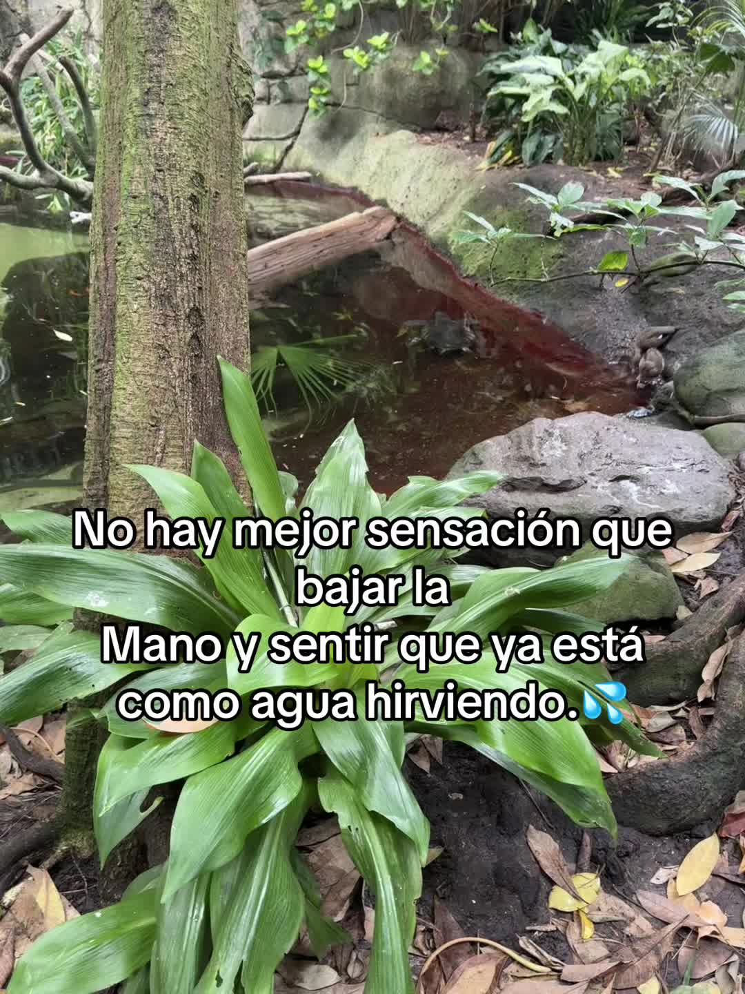 @ҜИD・SĘGUNDØ 🇻🇪.TK