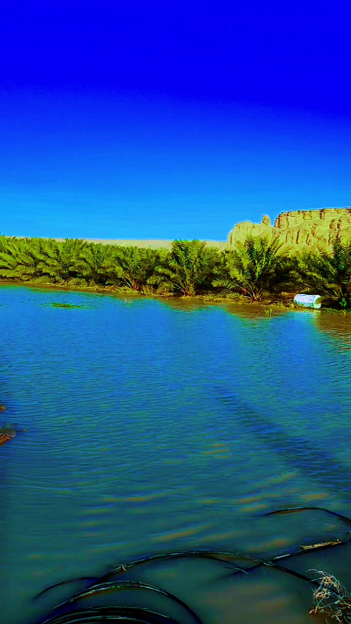 @MD Mobarok