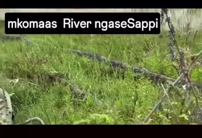 @MalGat