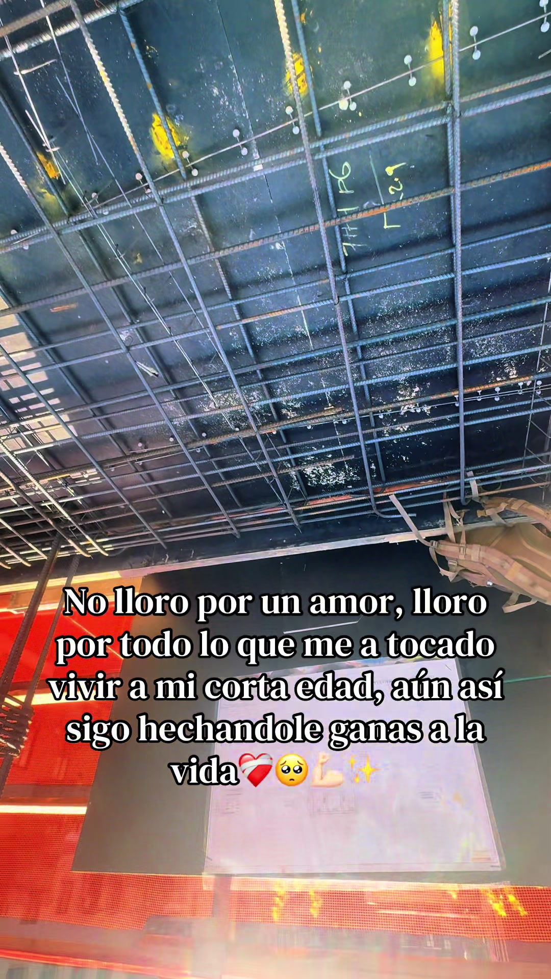 @🫧Diego paca🫧🍃