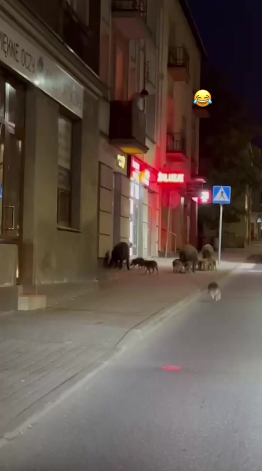 @Wiém🇹🇳Kuba🇵🇱🤞🏻