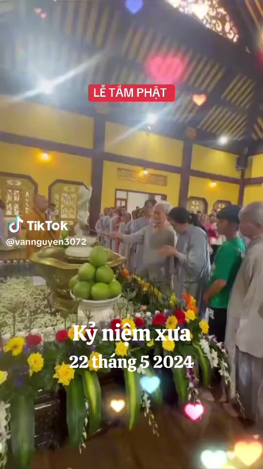 @nguyễn dung