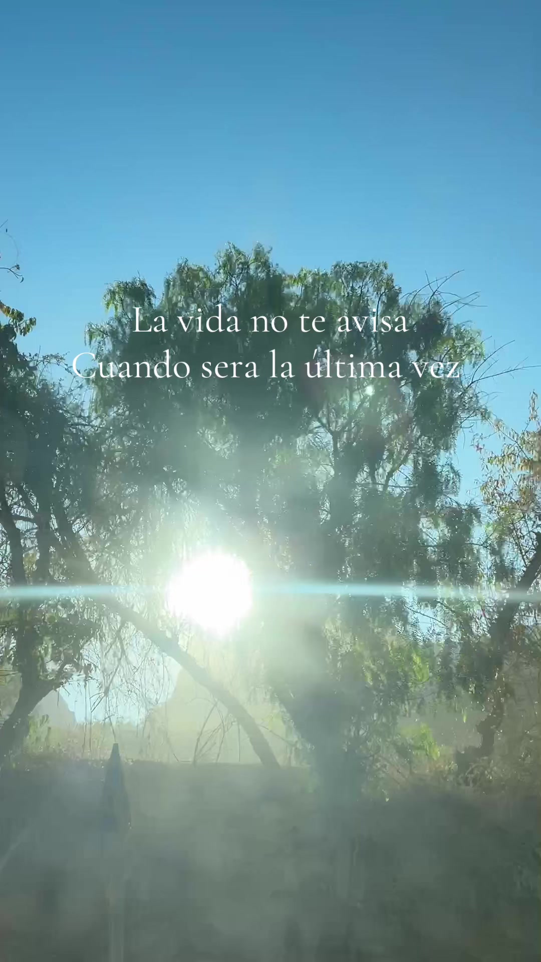 @Mila Fuentes
