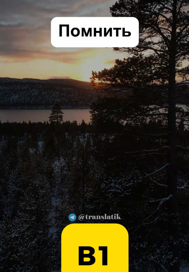 @Translatik