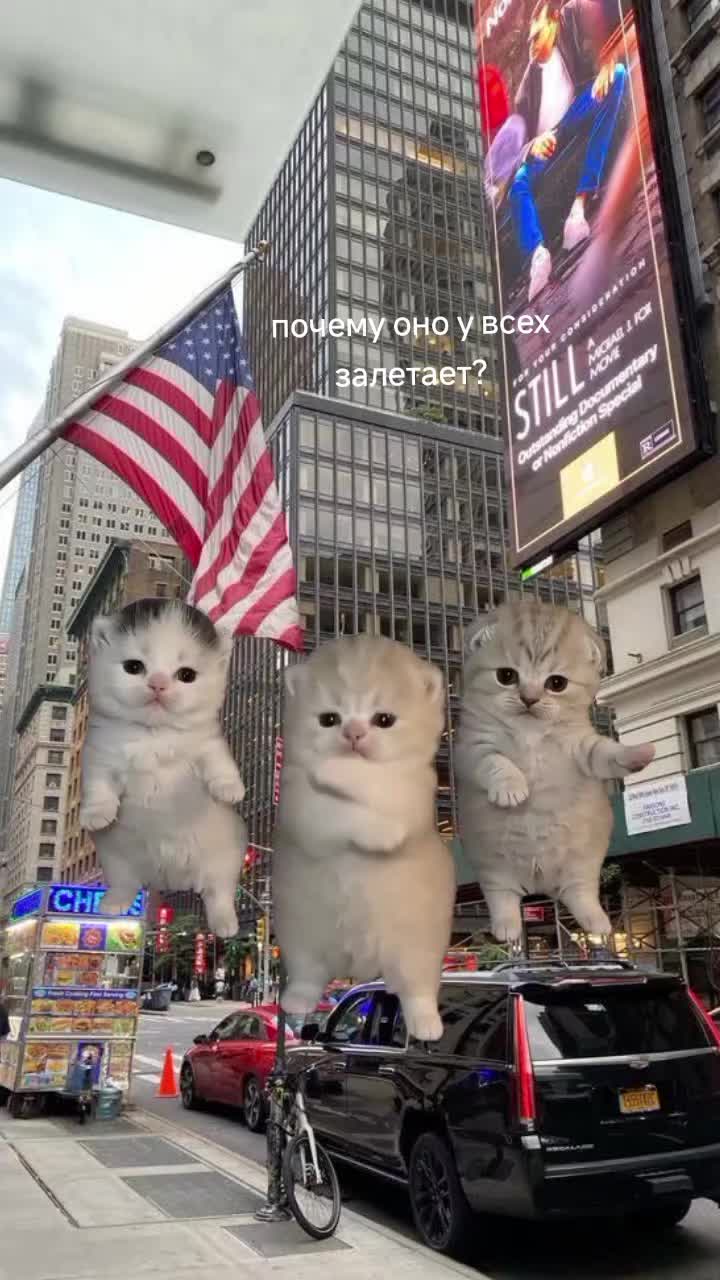 @Репосты