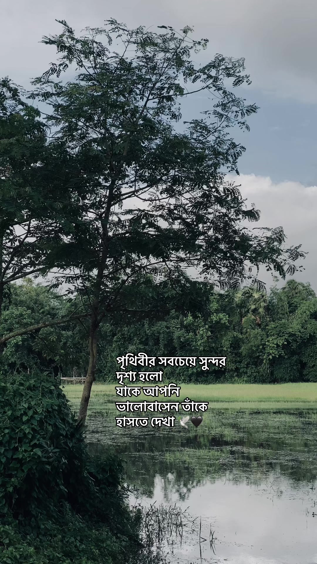 @_নিখোঁজ_