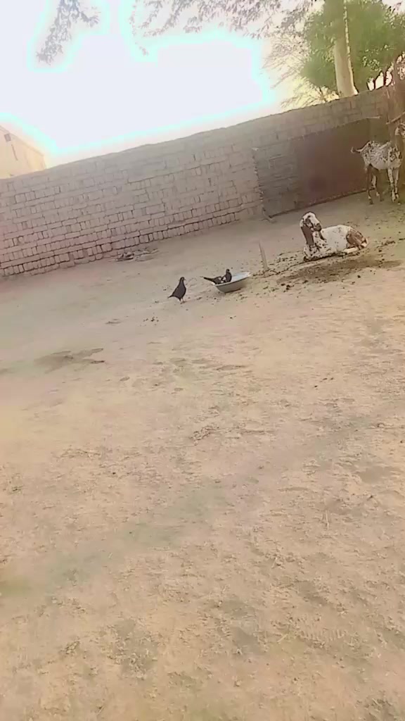 @TikTok 😀😀😀😀😀😀😀 a lot of