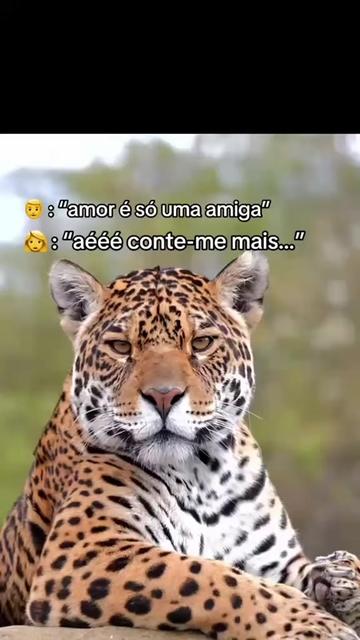 @꧁🦁 𝓝𝓲𝓷𝓪 🦁꧂