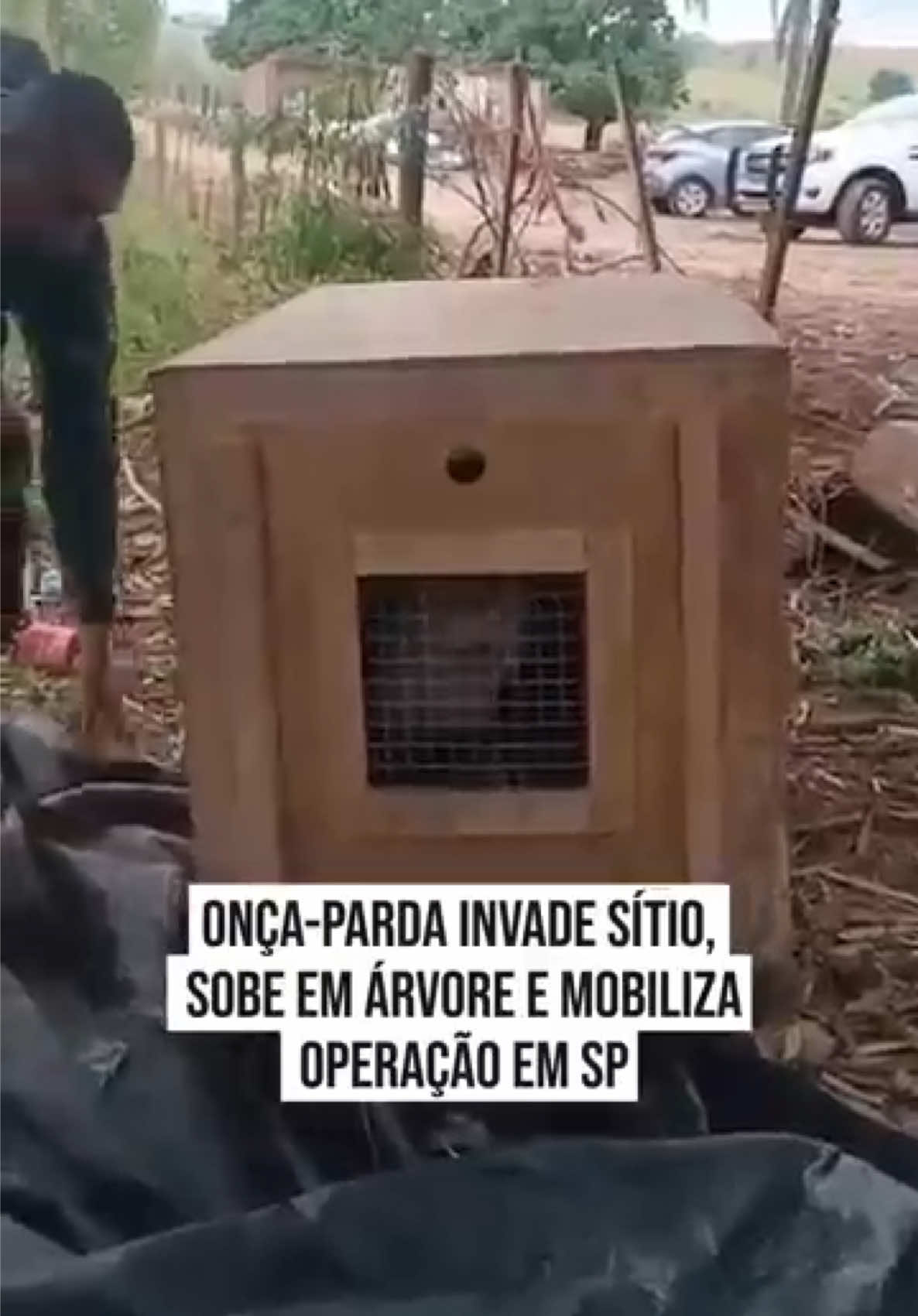 @Metr&oacute;poles Oficial