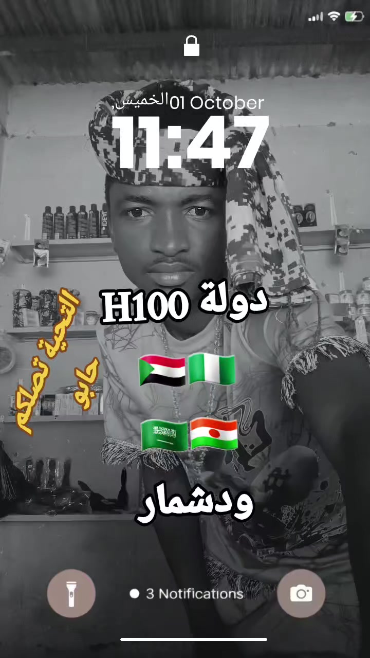 @حامدشعيب ودشمار 🇸🇩🇳🇬⚔️