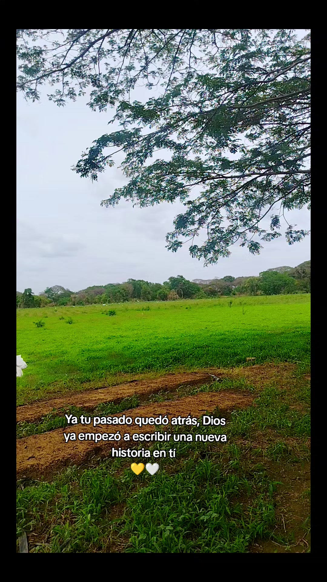 @💛🤍Eneymar🩼🦿🎀🍀