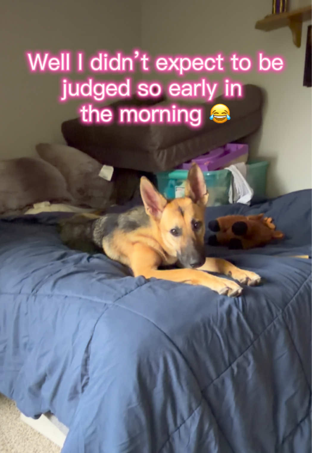 @Kiki.GSD