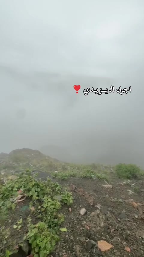 @الـ يـــــزيـــــدي🫡