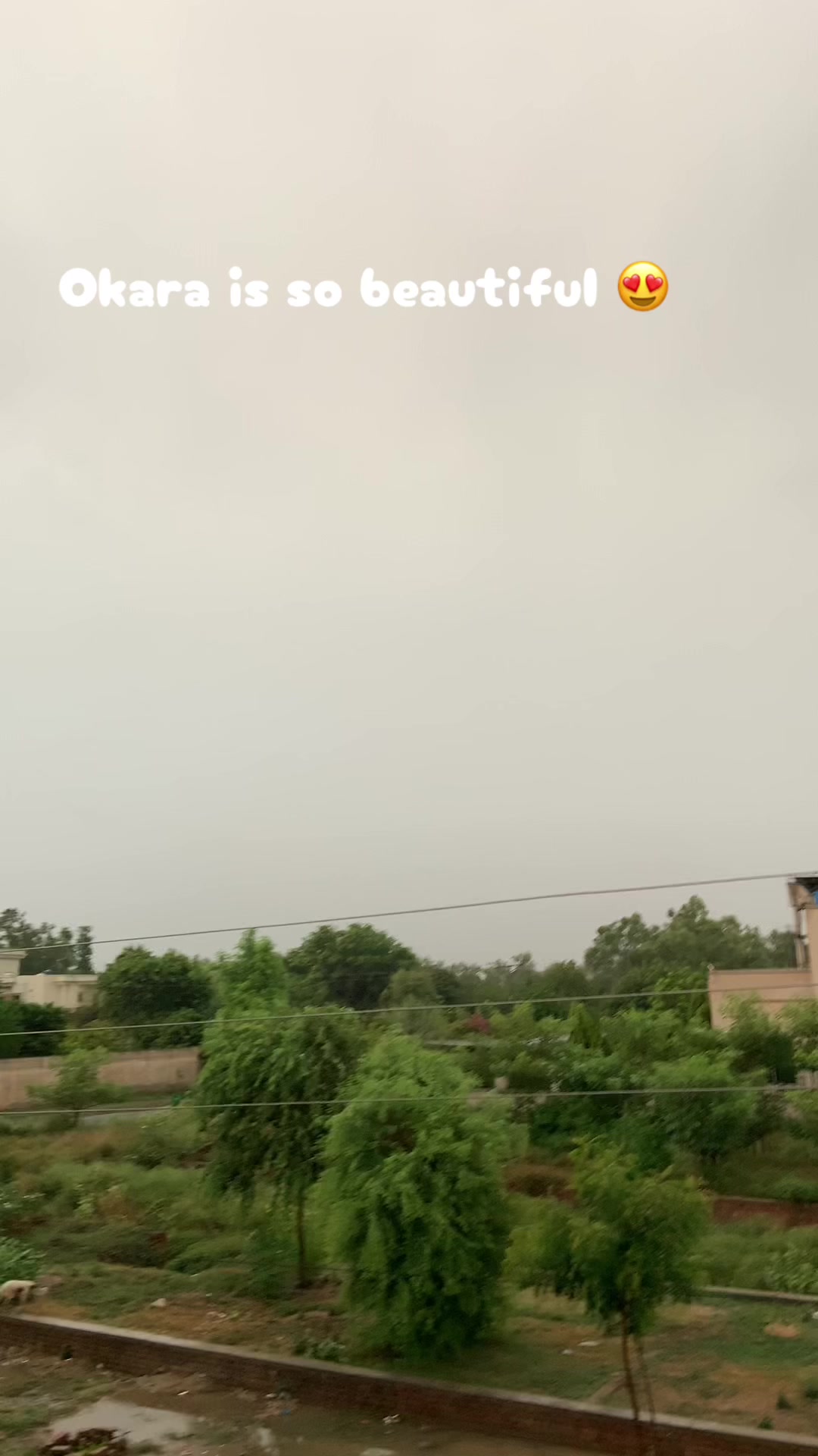 @😮&zwj;💨طیب ✨
