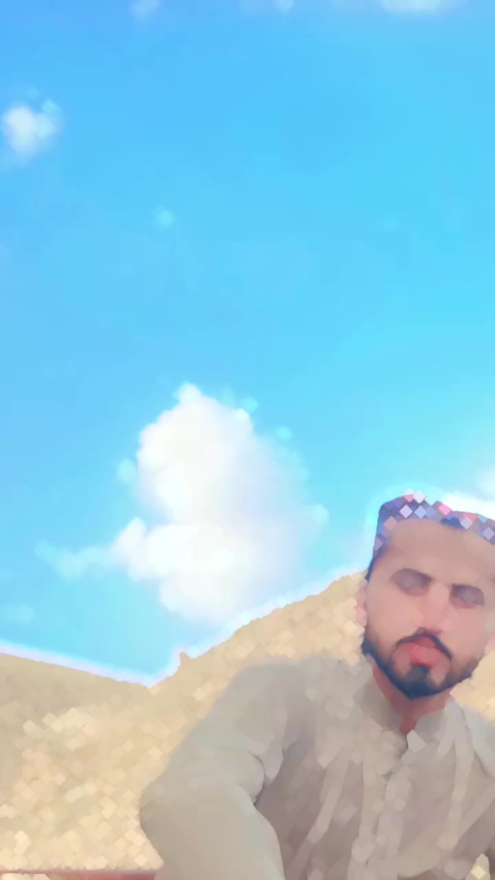 @talib bolti public