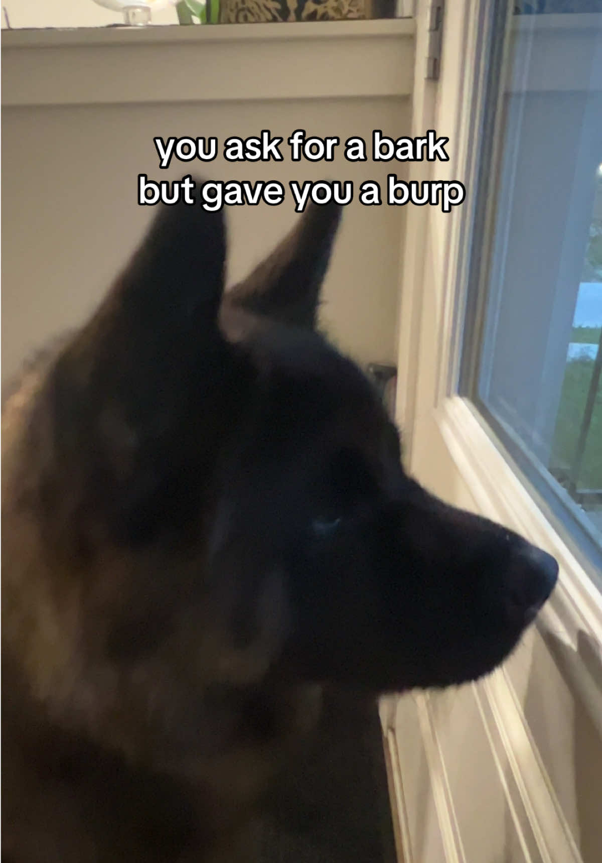 @tiara + winnie