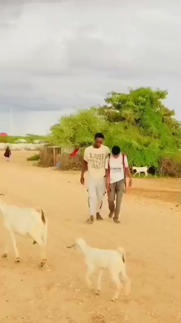 @SIMBA🦅 GANGIS🥷🇸🇴🇦🇿🦅💪