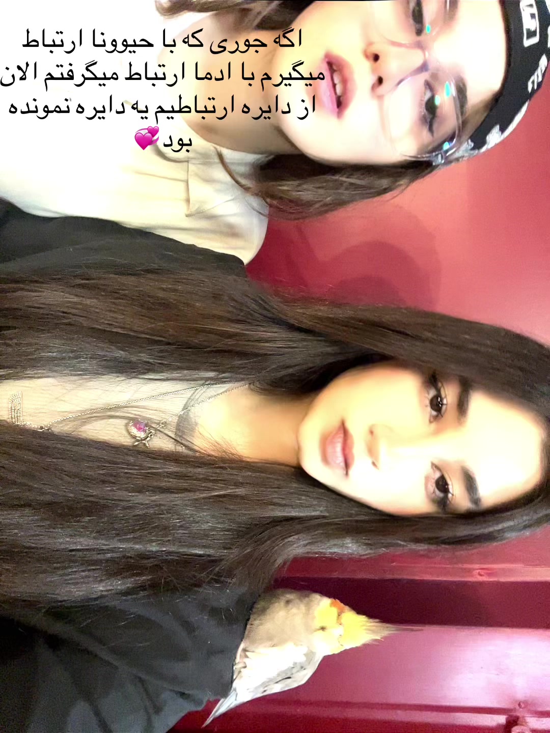 @Pari🪼