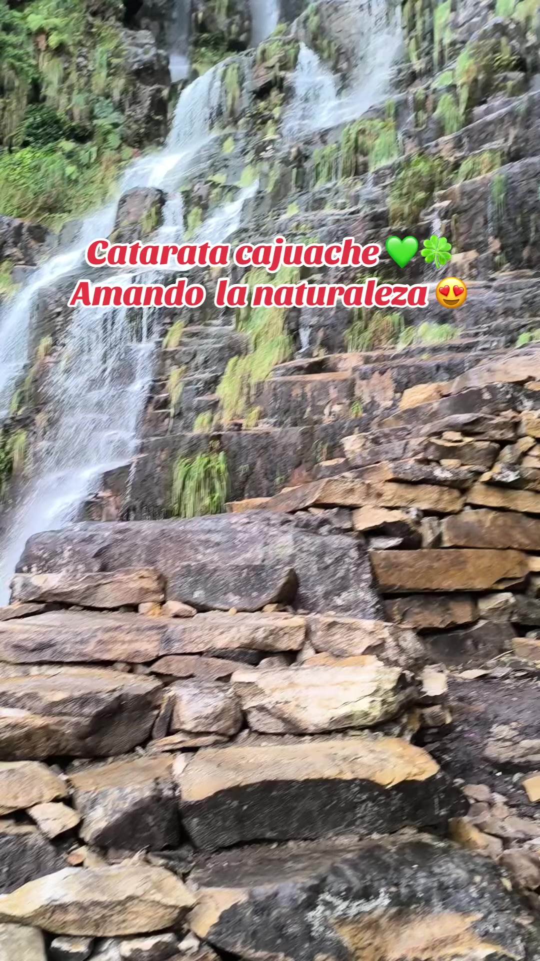 @Gianna.Plants 💚🍀🪴🇵🇪