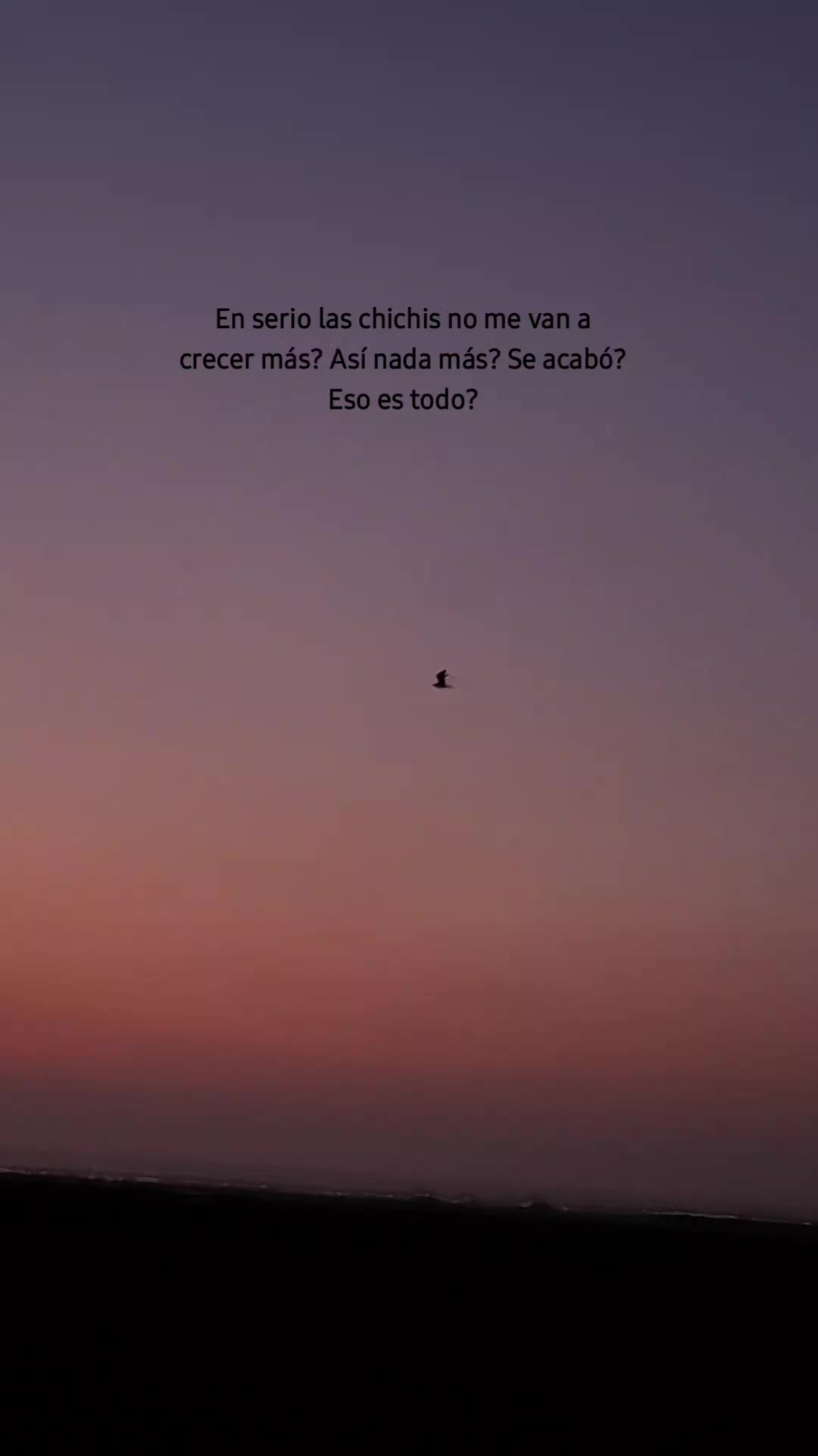 @❤️⭐️🐧