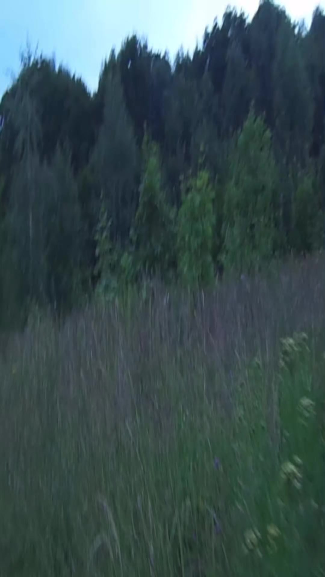 @=)