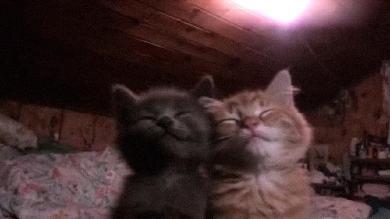 @для липсингов