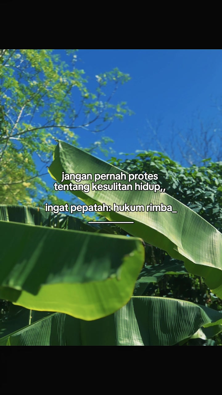 @INTROVERT