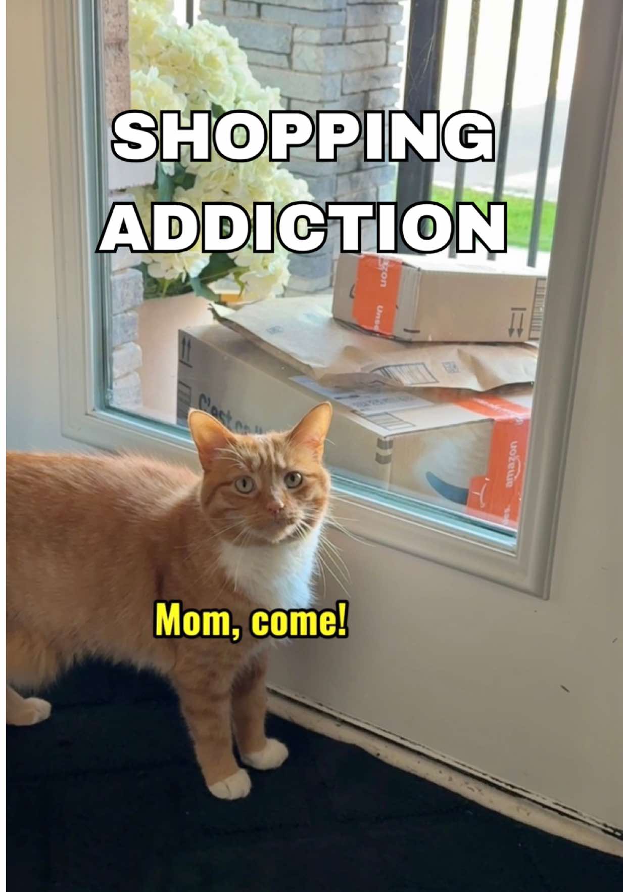 @Ginger, Pepper, & Cinnamon
