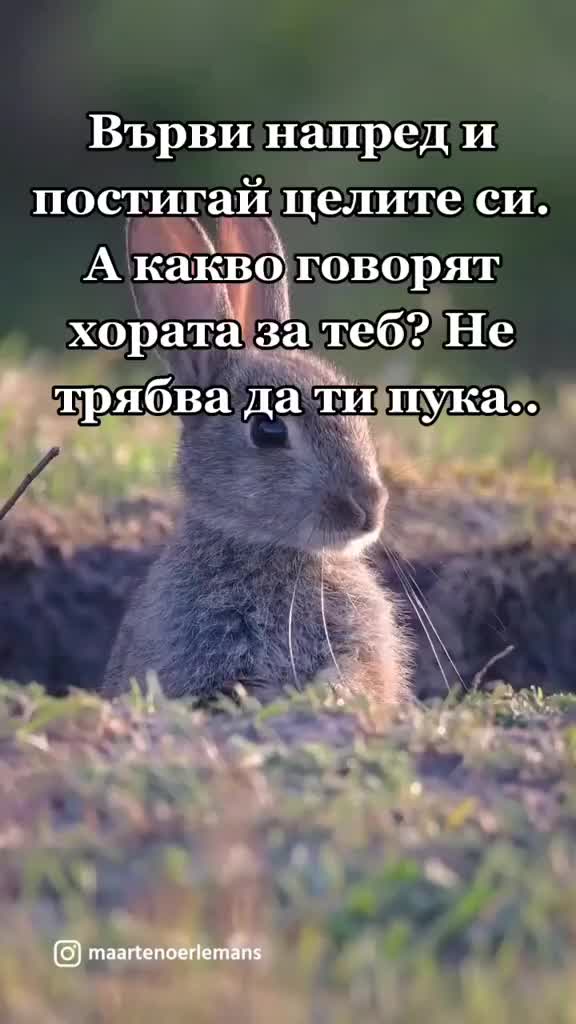 @PavlinPavlov