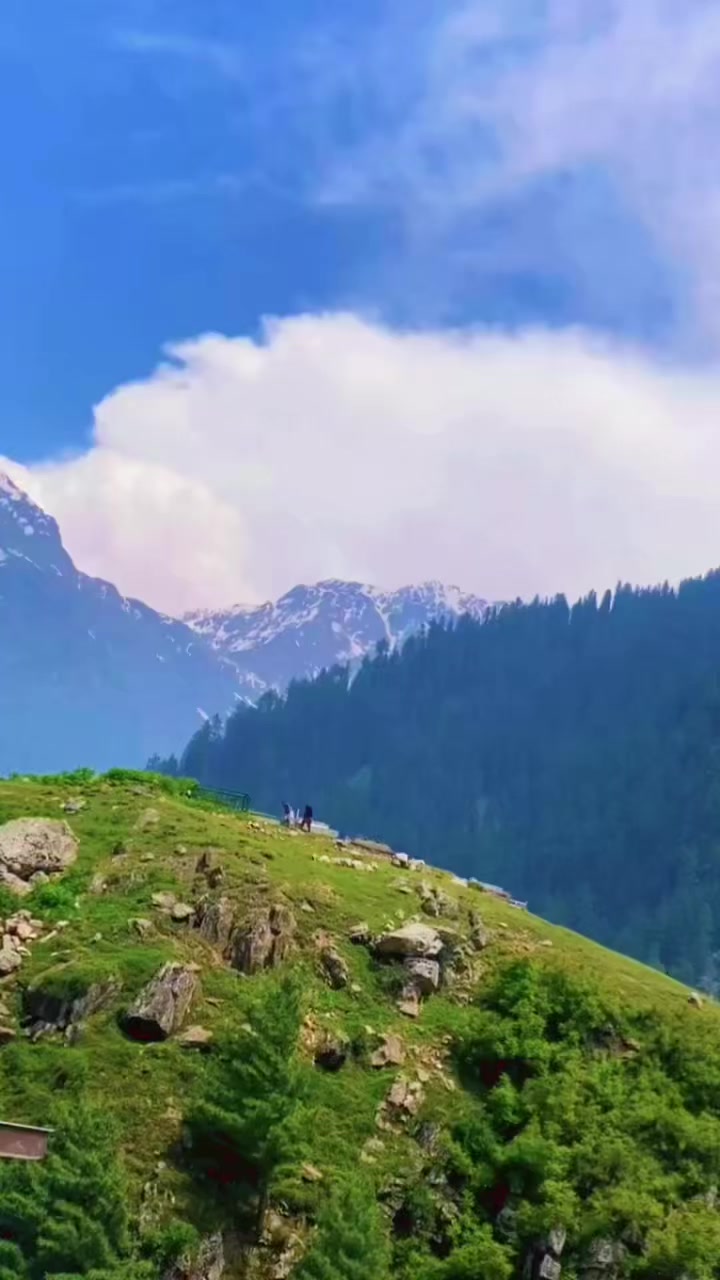 @شایان آفریدی 🌹🌹،🇵🇰🇵🇰