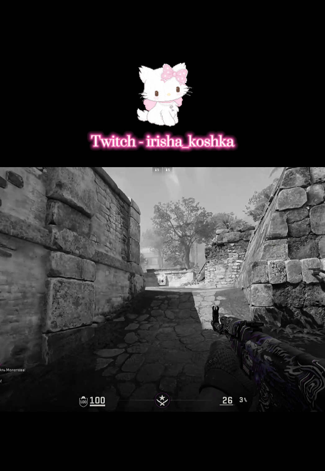 @Twitch - irisha_koshka