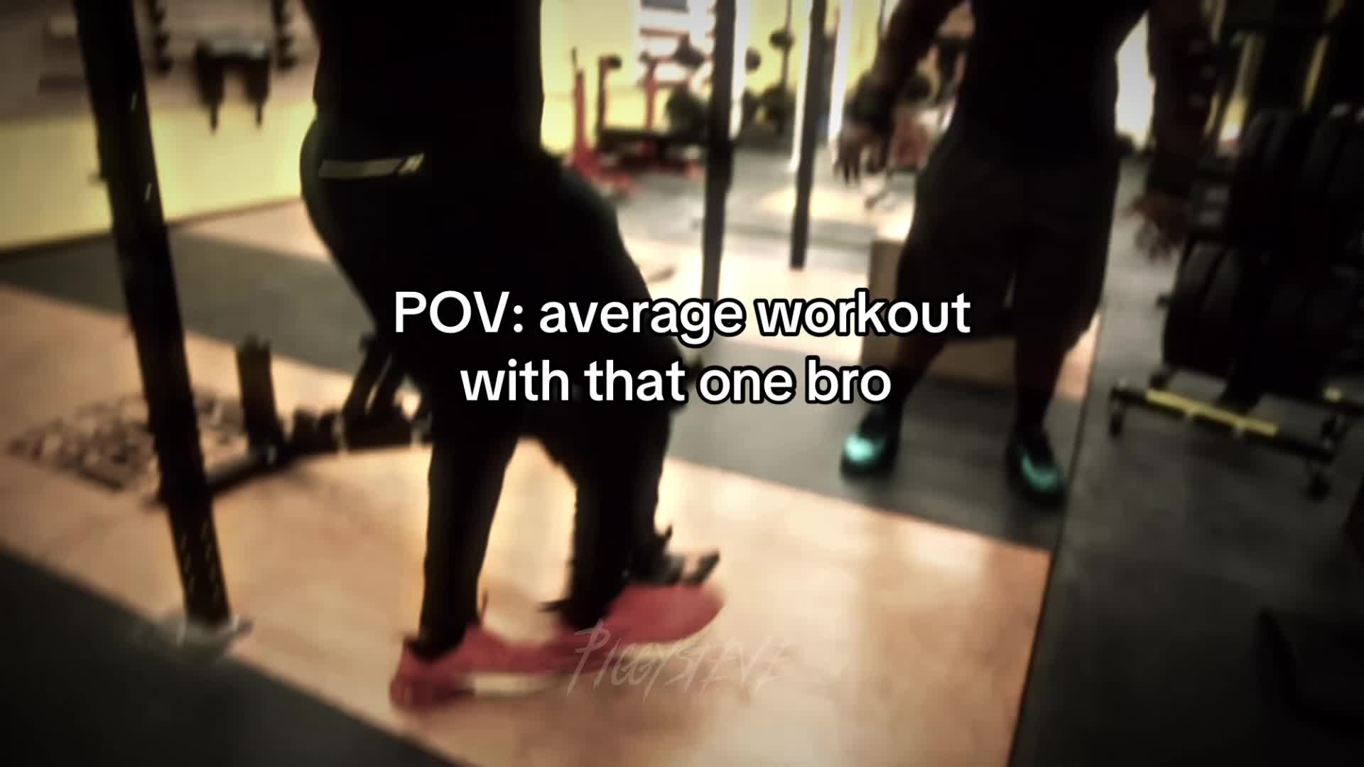 @piggysteve
