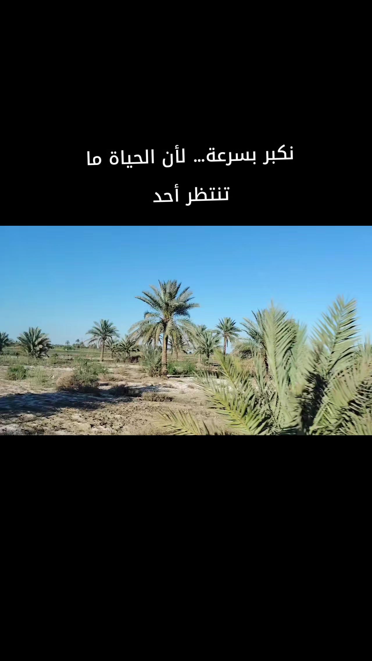 @سولاف امين الكربولي
