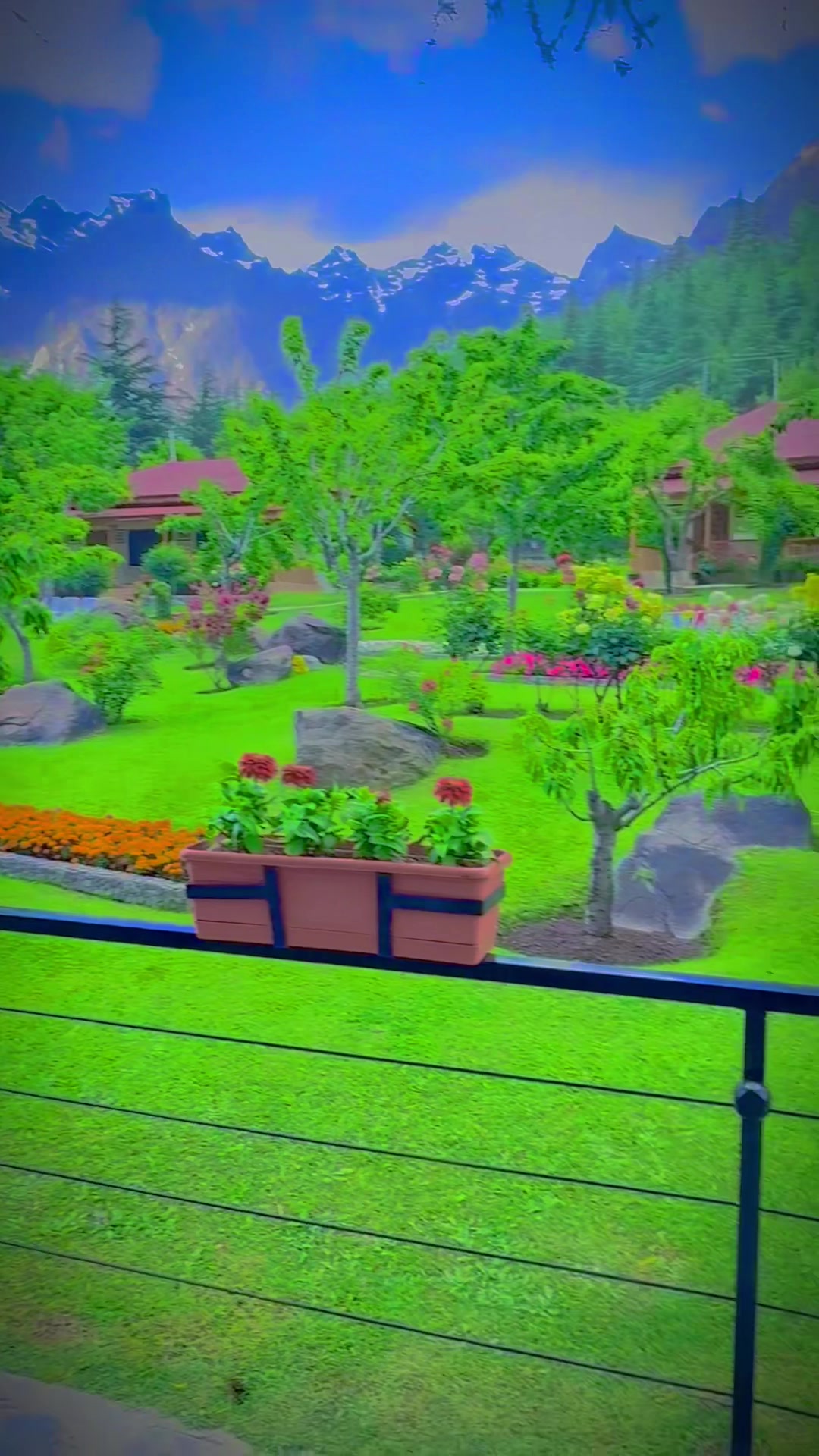 @Haji_Ayoub449