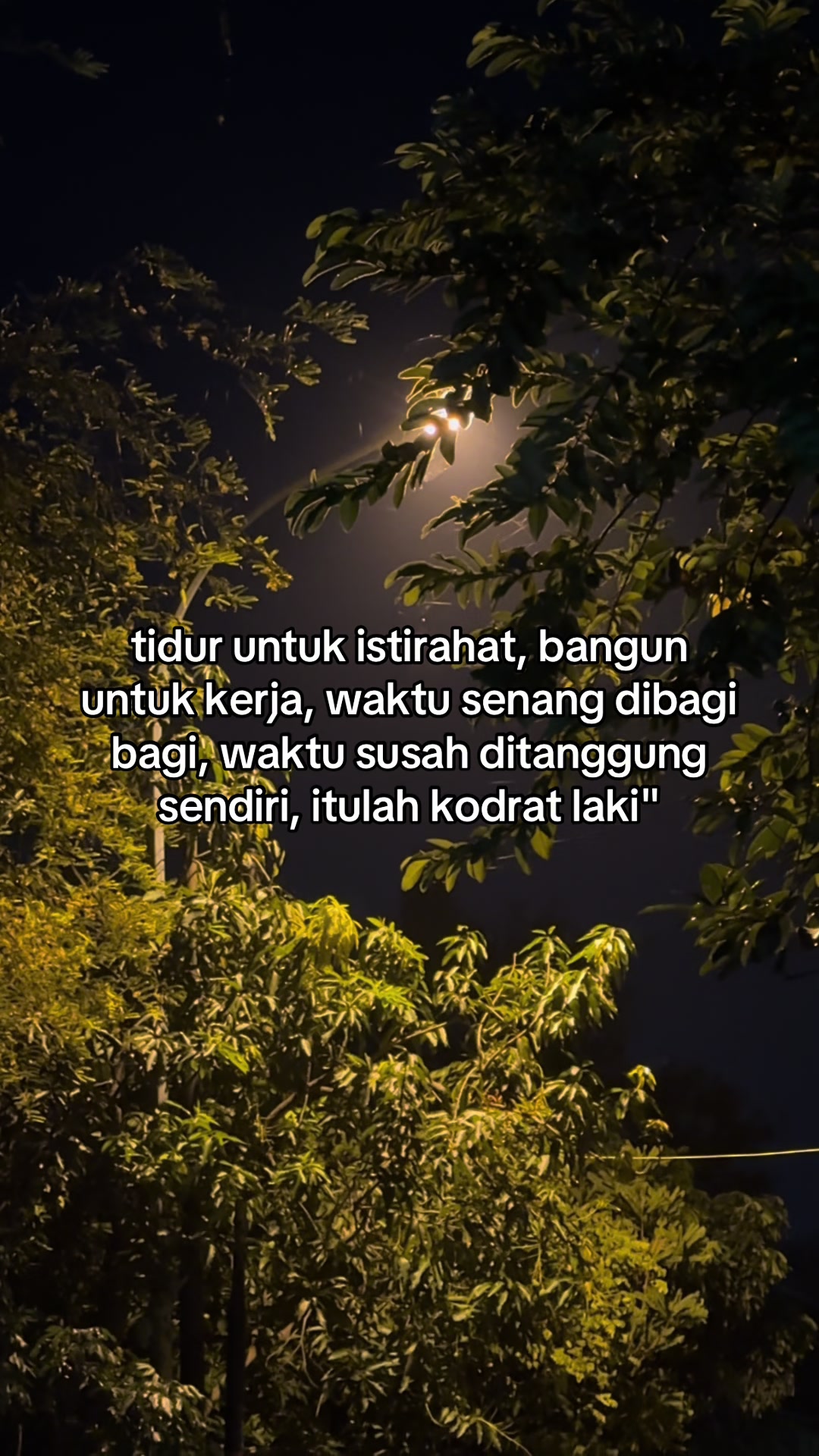 @Tauf1q