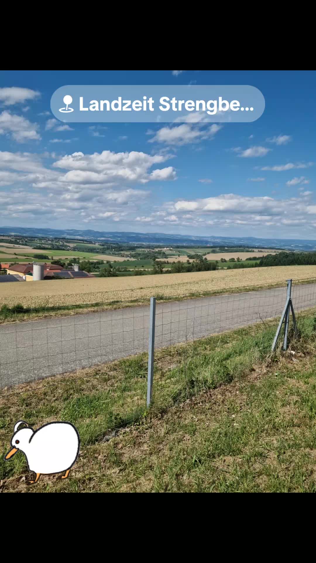 @seszunia