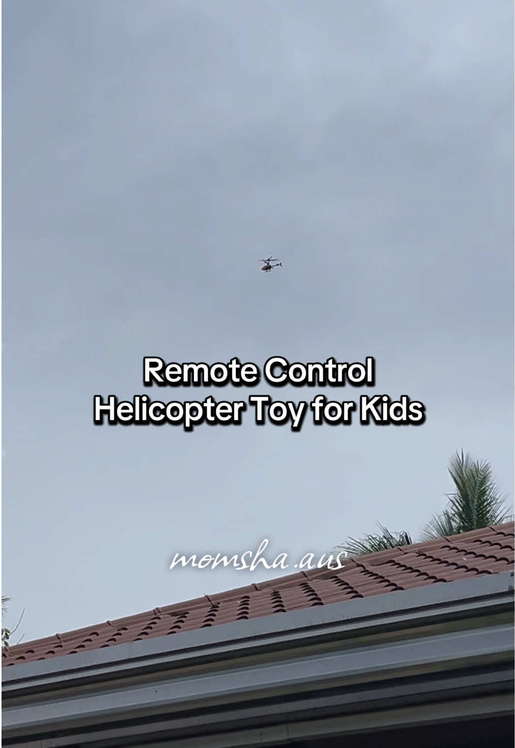 @Momsha Aus