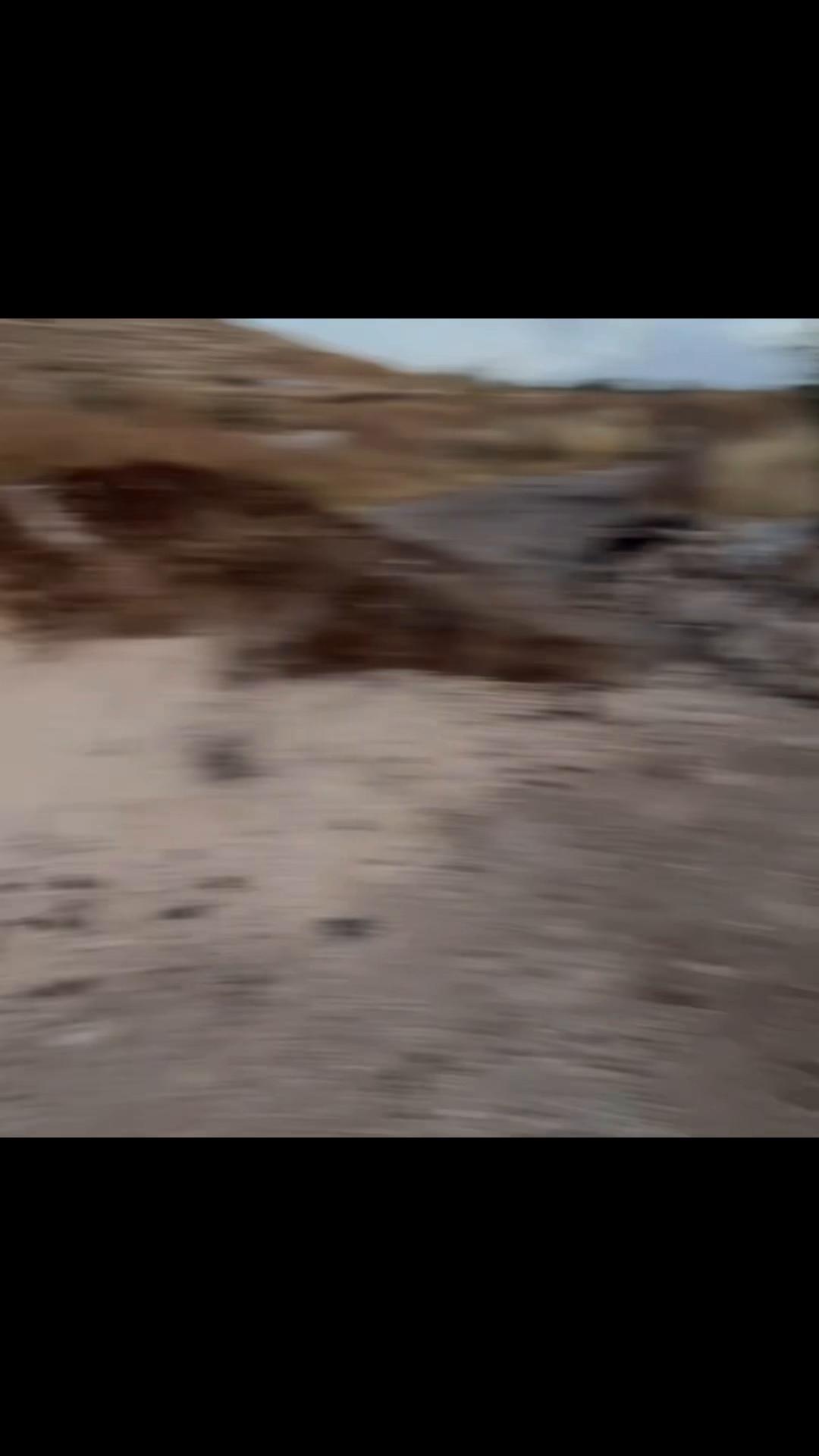 @غليص دواس الظلمة الصقر الحر🦅