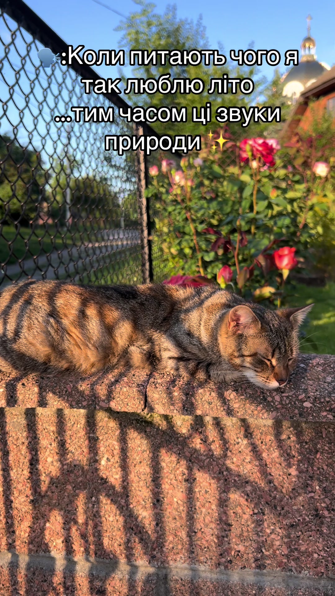 @alla_hreshchuk