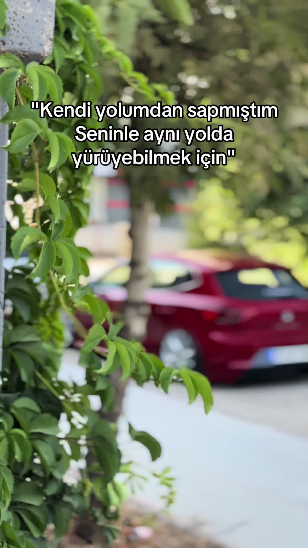 @Avni AKDAŞ