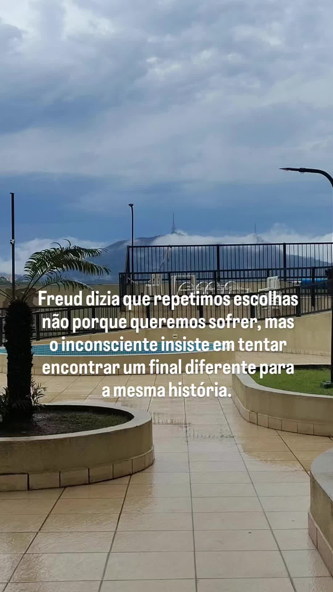 @Selma Alves