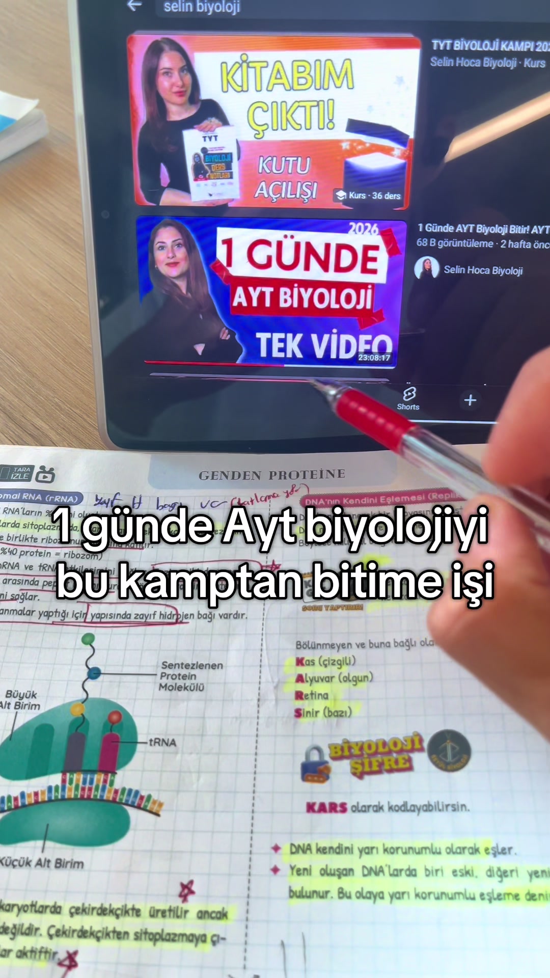 @Mezunkartal