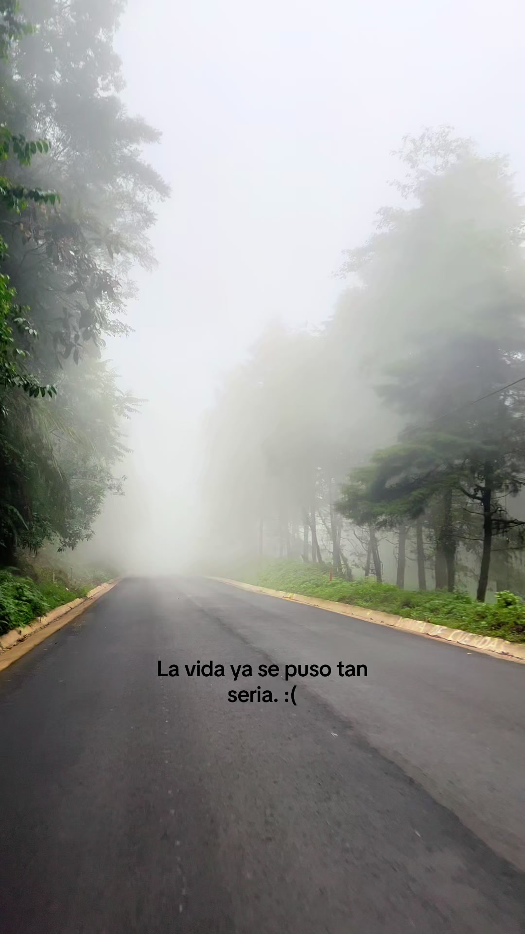 @Tanii♡