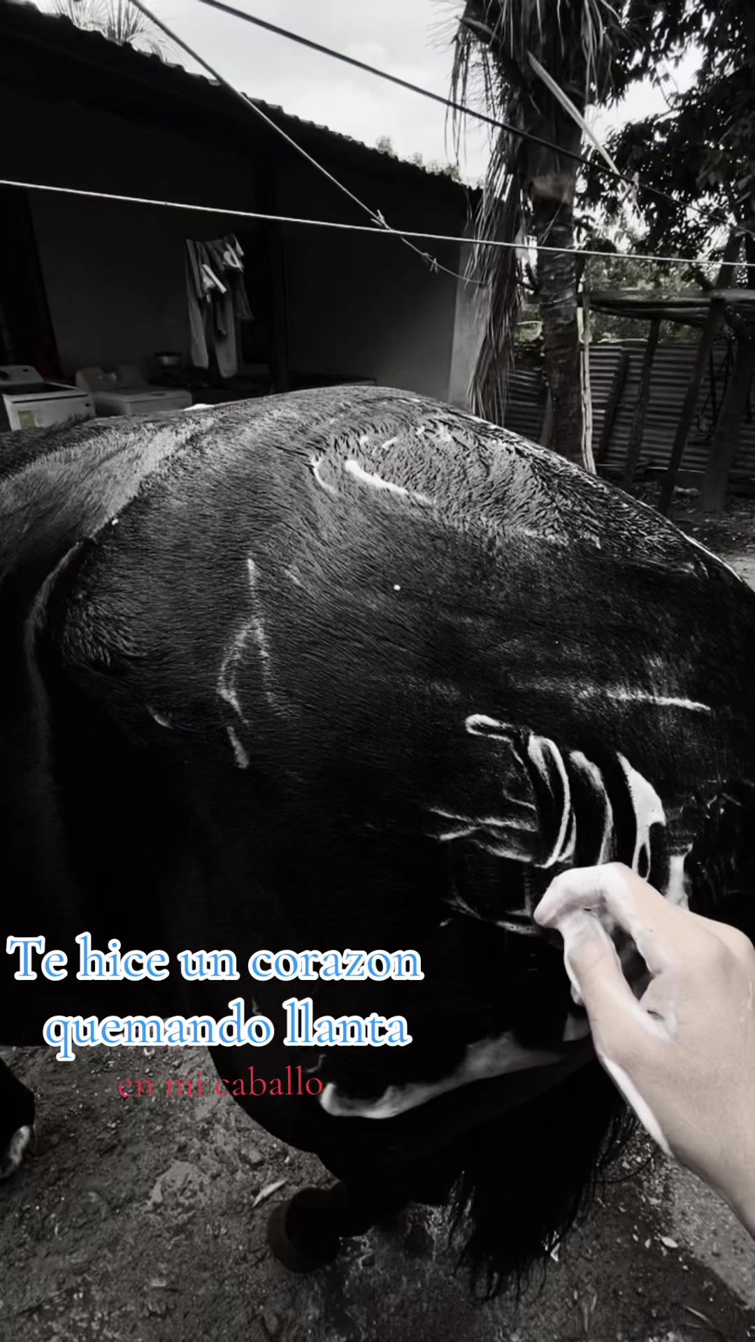 @Moises Vasquéz