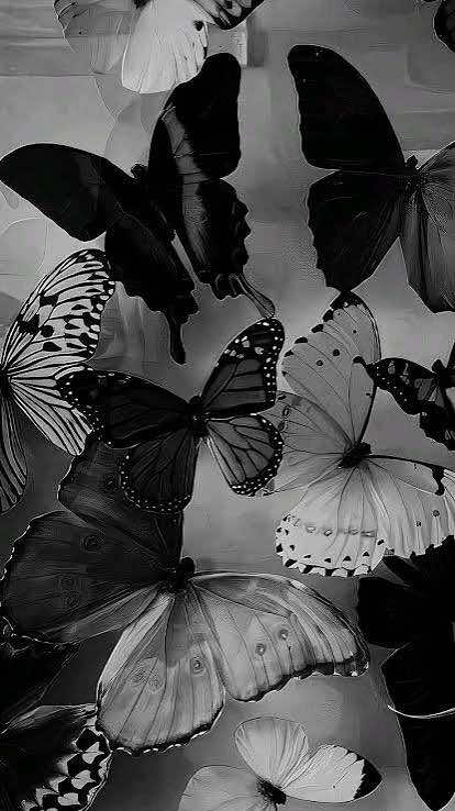 @𝓷𝓮𝓴𝓸