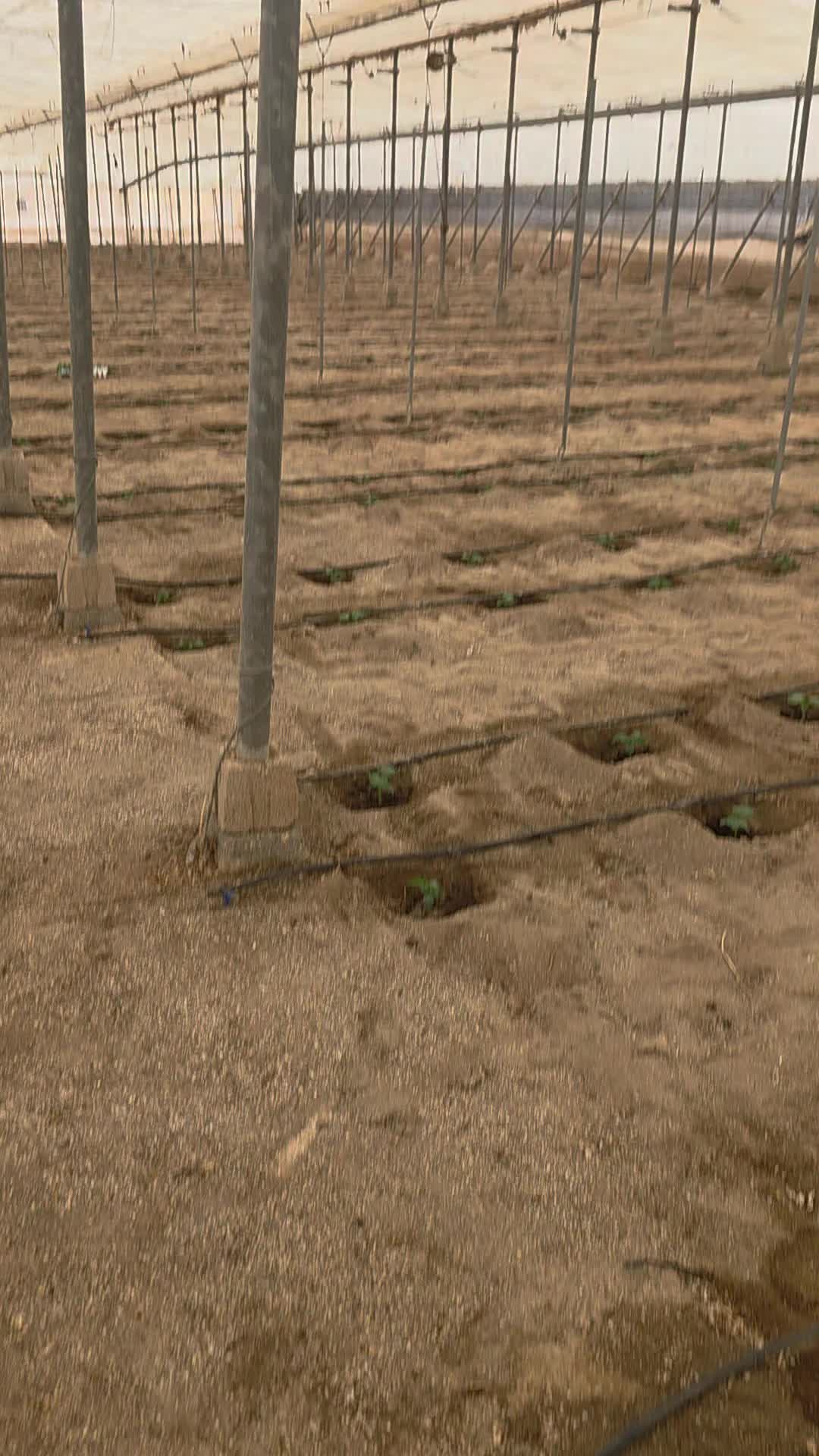 @El Extensionista del Agro