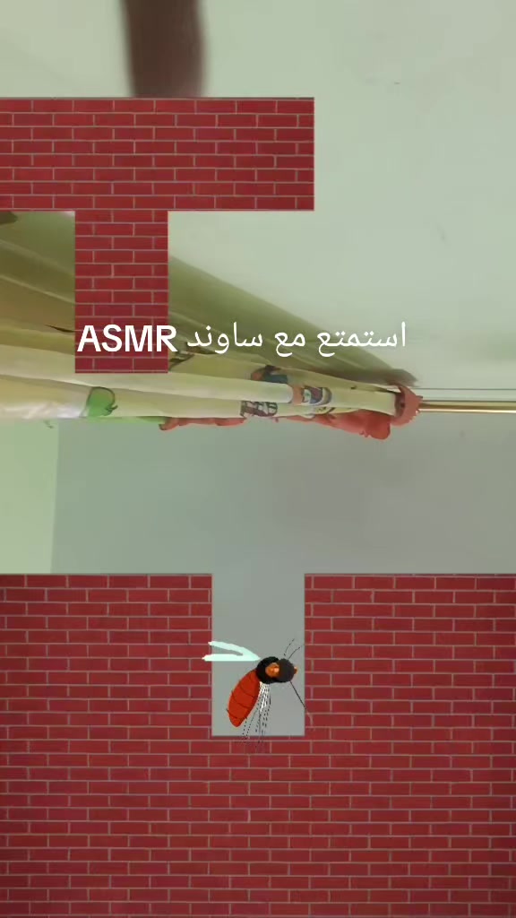 @✨الجندي الكرفتاوي✨