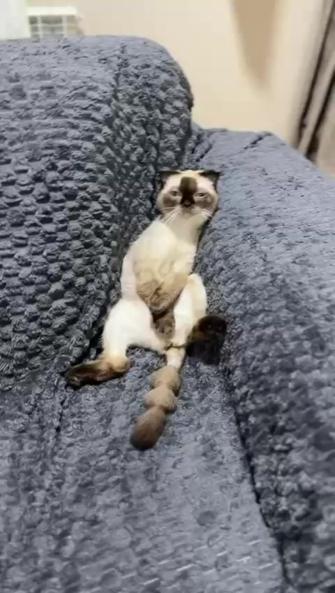 @Eli Ebelfezli